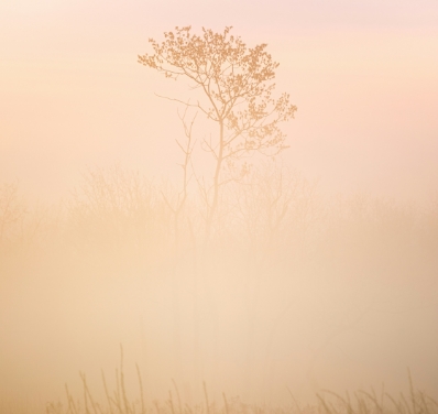 donation-media2 donation-media2