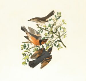 energies-galler3 energies-galler3