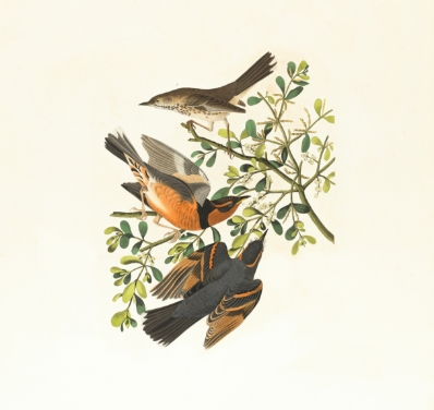 energies-galler3 energies-galler3